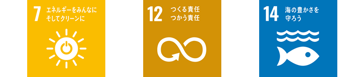 SDGs